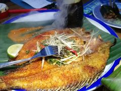 -雀舞云南菜(乐客城店)