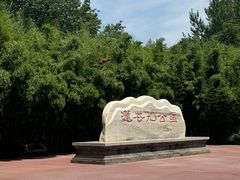 -莲花池公园