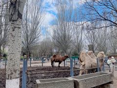 -长白岛森林公园