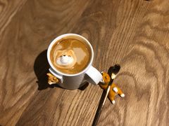 -柴务处·柴犬主题狗咖