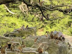 -海南分界洲岛旅游区