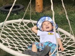 -世纪飞马幼儿园(西城校区)