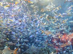 -成都浩海立方海洋公园