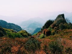 -白草畔自然风景区