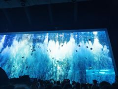 -哈尔滨波塞冬海底世界