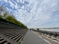 -上海滨江森林公园