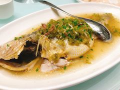 -新吉士·上海菜(浦东LCM置汇旭辉店)