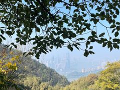 -涂山寺素食餐厅