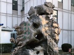 -中国中医科学院望京医院(院本部)