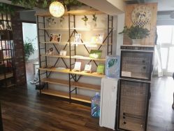 -小熊维尼高端儿童摄影(南山信和店)