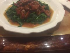 -碧丽宫大酒店(召稼楼店)