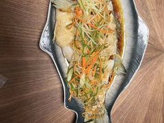 -天鹅到家·保姆月嫂育儿嫂(总店)