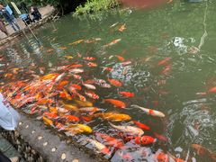 -成都杜甫草堂博物馆