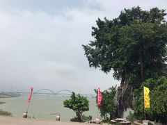 -八仔大富楼·河鲜(西江店)