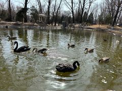 -北京野生动物园