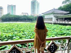 -荔湾湖公园
