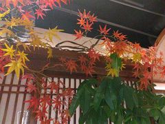 -贡宴盐帮菜自贡驻京联络处餐厅
