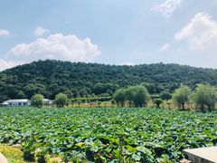 -龙寺生态园