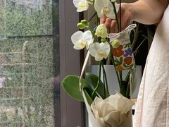 -王尔德与花