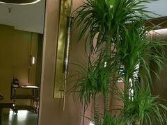 -旺顺阁·北京菜·烤鸭(大望路店)