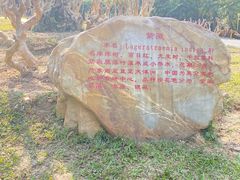 -深圳仙湖植物园