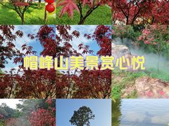 -广州市帽峰山景区