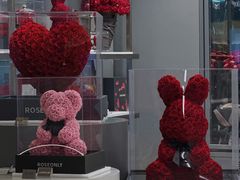 -ROSEONLY诺誓(广州K11店)