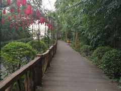 -观澜山水田园