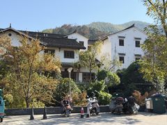 -紫藤园·天目湖大鱼头(南山竹海店)
