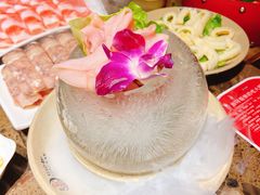 冰球鹅肠-小龙坎火锅(惠济万达店)