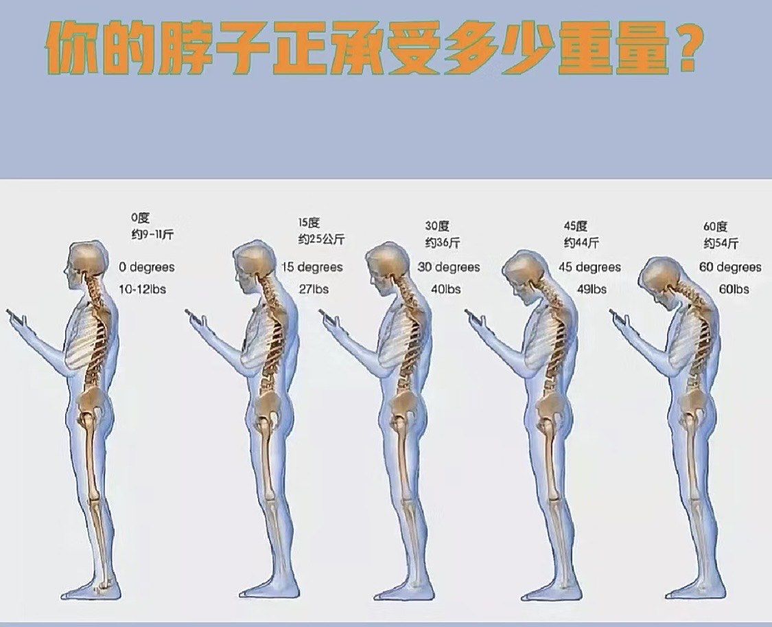 当我们低头时,颈椎承受的压力会显著增加.正常
