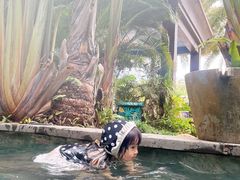 -碧桂园润杨溪谷温泉酒店