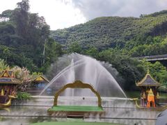 -西双版纳原始森林公园