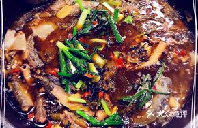 Stone Pot Mudskipper