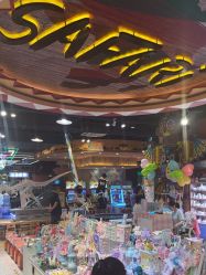 -卡通尼·Safari非洲探索乐园·生日会(金桥国际商业广场店)