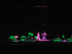 -郑州方特梦幻王国