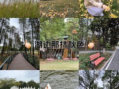 -月湖风景区