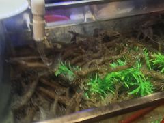 -V-ONE西雅图海鲜自助餐厅(仓山万达广场店)