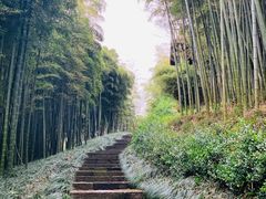 -良渚古城遗址公园