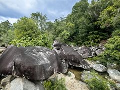 -海南热带雨林国家公园吊罗山景区