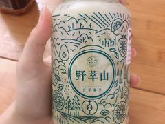 -野萃山·潮汕厚果汁(十亩地店)