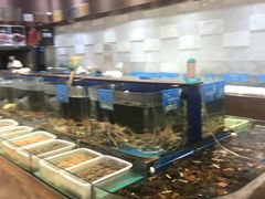 水产区-蓝港海鲜厨房(金水路店)