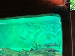 -太平洋海底世界