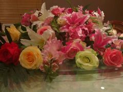 -南宫温泉水世界