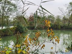 -西溪国家湿地公园