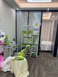 -凡碧诗毛孔清洁收细