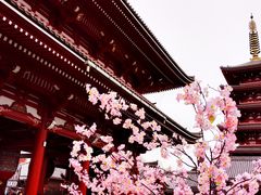 -浅草寺