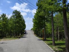 -广富林郊野公园