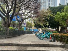 -野草莓自由市场
