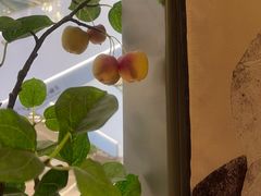 -Dragonfly悠庭·按摩Spa(静安嘉里中心店)